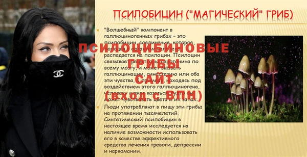 соль ск Магас