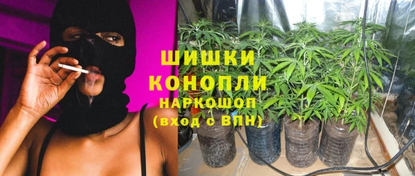 ПСИЛОЦИБИНОВЫЕ ГРИБЫ Майский