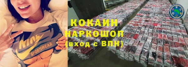 спайс Пересвет