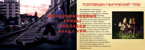 ПСИЛОЦИБИНОВЫЕ ГРИБЫ Майский