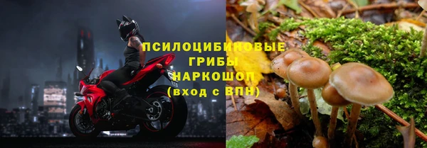 соль ск Магас