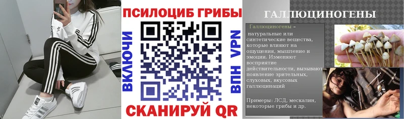 Псилоцибиновые грибы Magic Shrooms  купить наркотики сайты  Ахтырский 